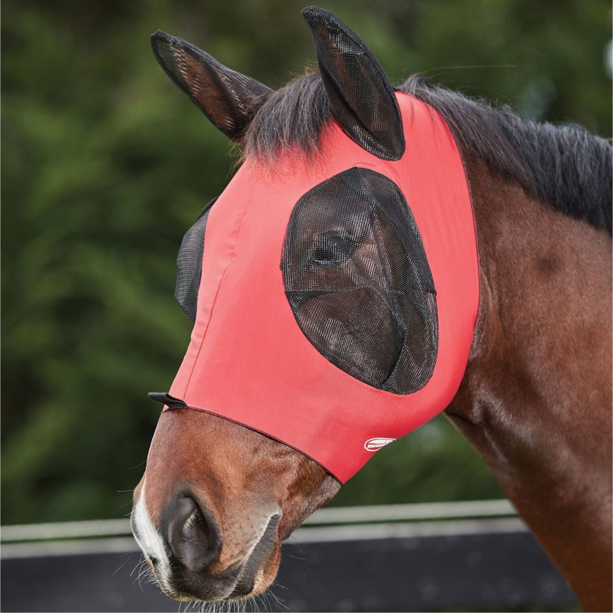 Weatherbeeta Deluxe Stretch Bug Eye Saver With Ears 1009573028 - Red / Black
